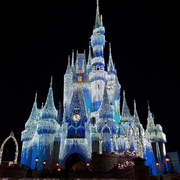 Meet your Posher, Renee - Picture 4 of 5